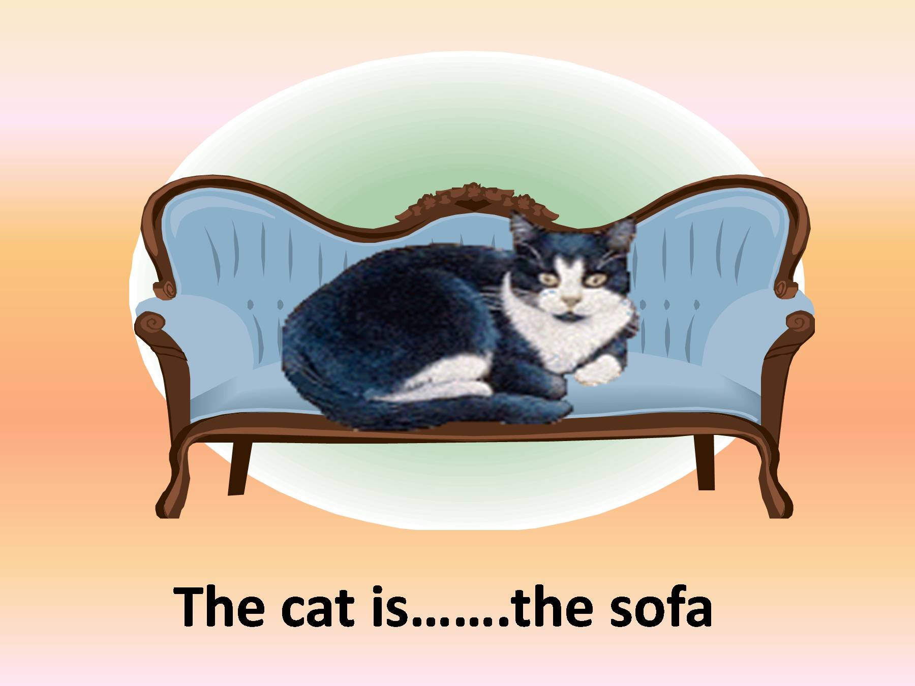 1 this is a cat. Cat on предлог. Предлоги в картинках. Cat is on the Sofa. Under картинка.